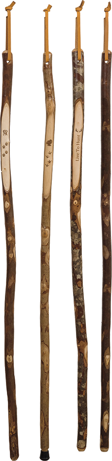 Hiking Stick