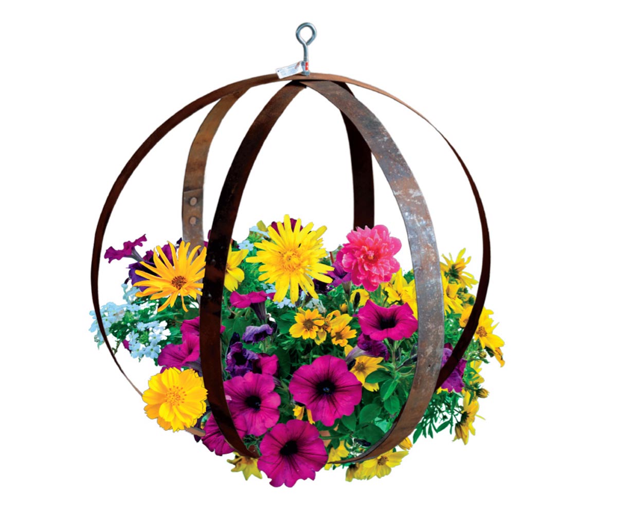 3-Ring Plant Holder