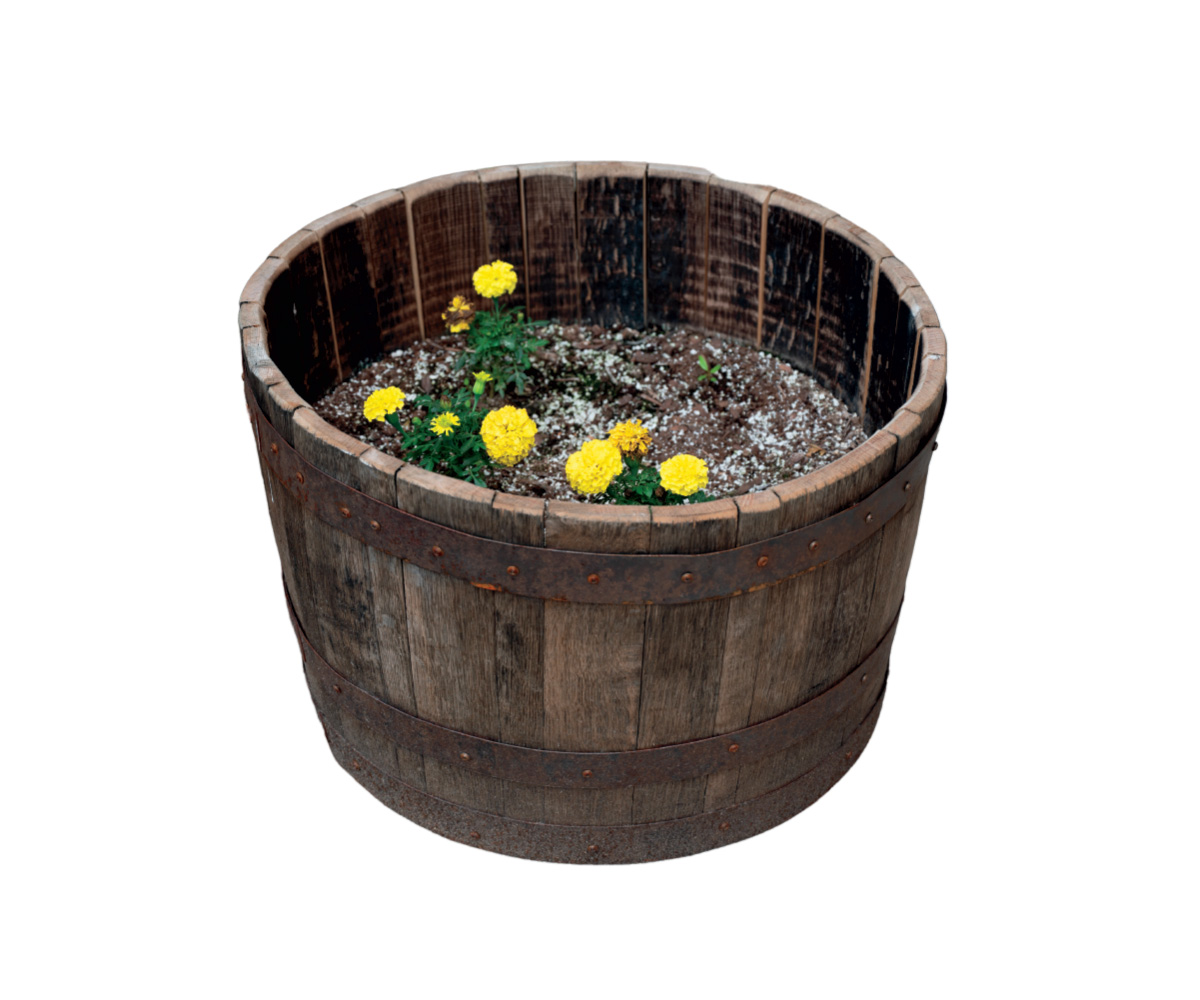 Big Flower Pot
